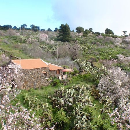 Casa Rural La Jarita El Pinar  Esterno foto