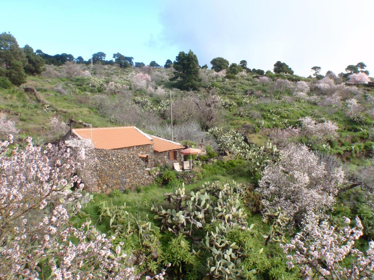 Casa Rural La Jarita El Pinar  Esterno foto