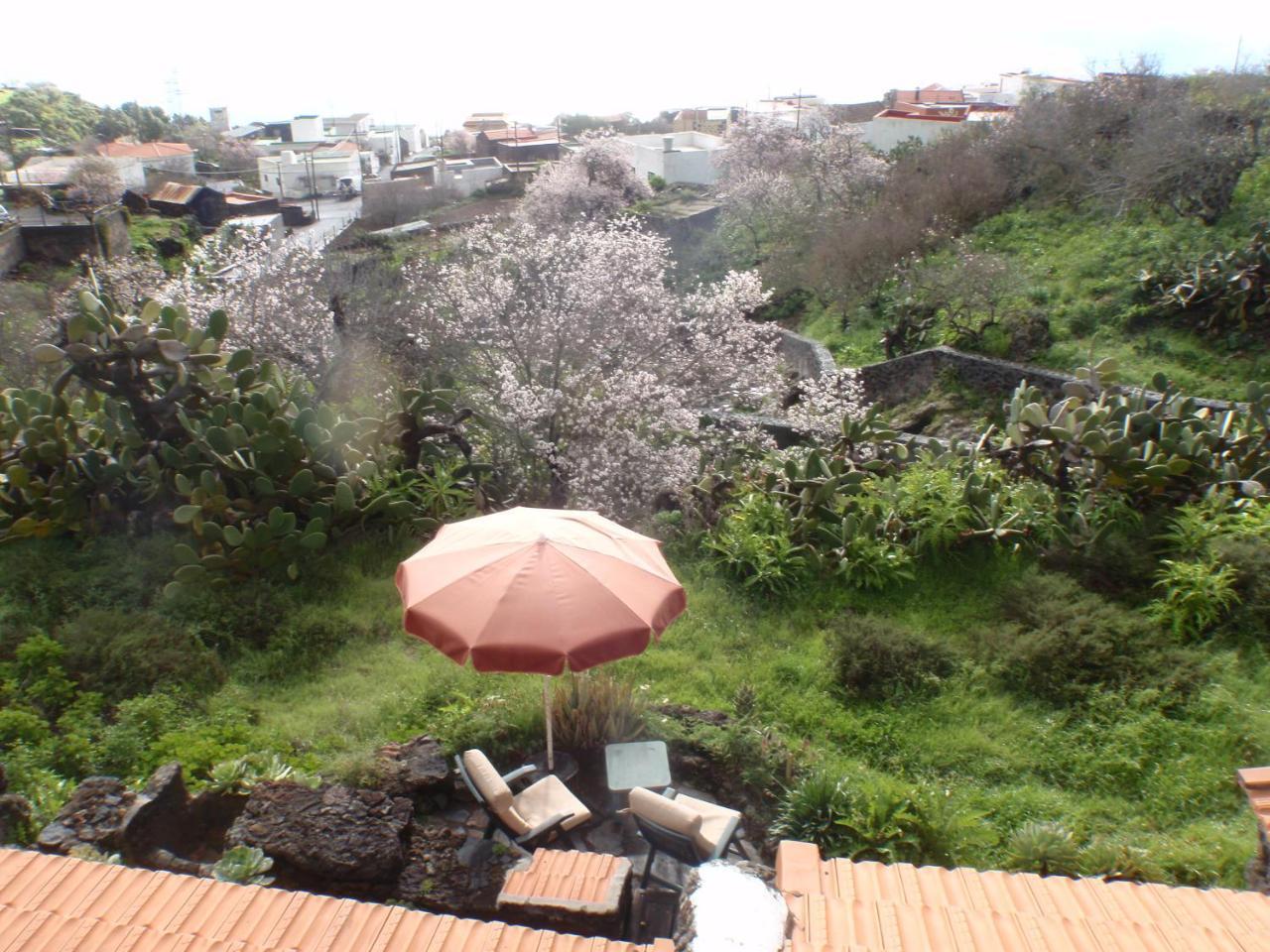 Casa Rural La Jarita El Pinar  Esterno foto